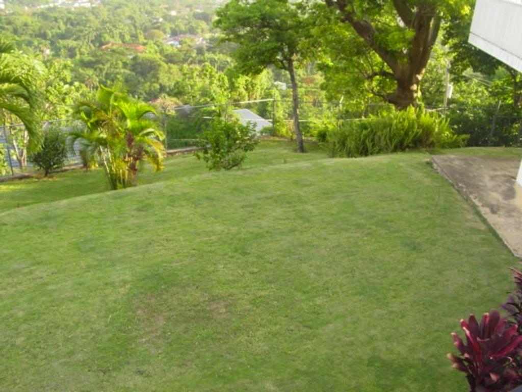 Hill Top Kingston Jamaica Kültér fotó