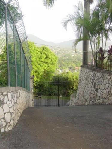 Hill Top Kingston Jamaica Kültér fotó